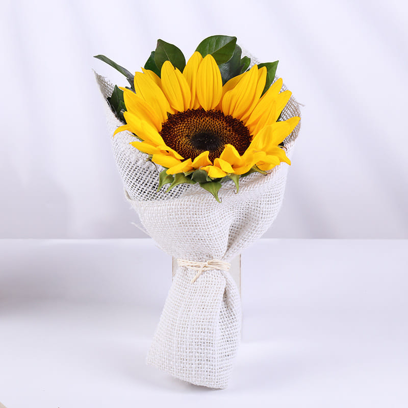 Product Image Video