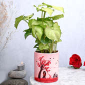 Hugsy Syngonium Valentines Plant Gift 