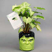 Hulk Syngonium Plant With Rakhi - Rakhi with Gifts Online