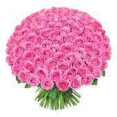Hundredth Myriad Pink Roses for Valentine