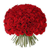 Hundredth Myriad Red Roses Gift for Valentine