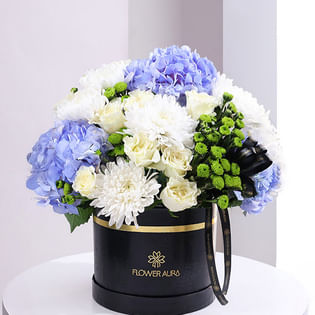 Hush Grace Of Snowlit Petals