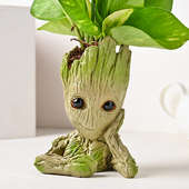  I am Wealthy Groot money plant