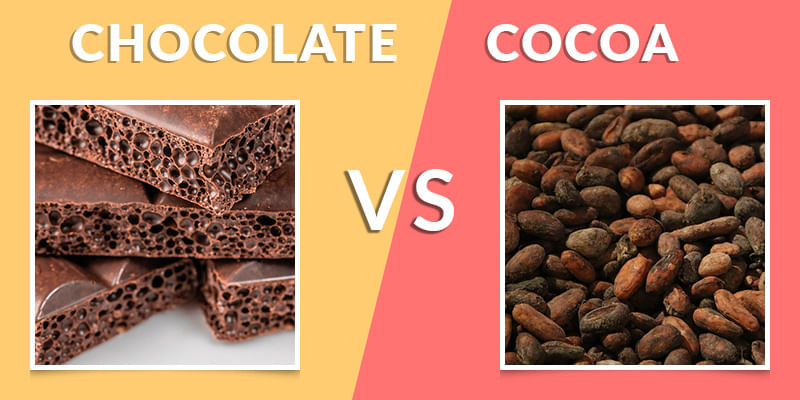 Flavour Battle: Chocolate vs. Cocoa