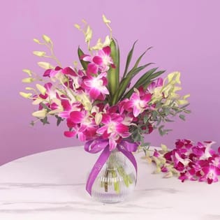 Orchid Grace In Vase
