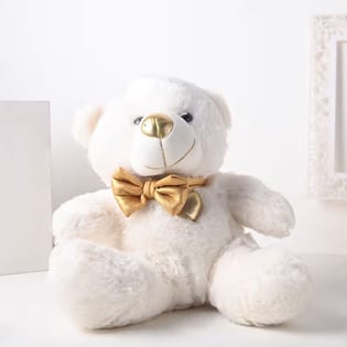 Large Teddy Bear 12 Inch