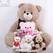 Cuddle Teddy Gift Set of 7