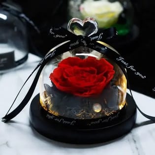 Timeless Love Preserved Rose