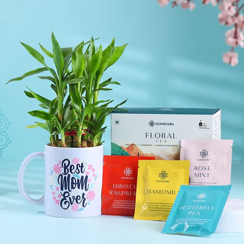 Bamboo Plant in Best Mom Ever Mug N Tea