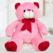 A 24 inch cute pink soft Teddy