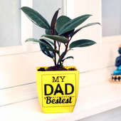 Plant in Yellow Vase for Dad - Order Now