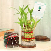 2 Layer Bamboo and Chocolate Jar Cake Combo