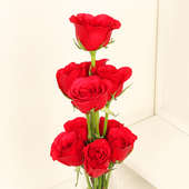 Lovely Red Roses Bunches Online