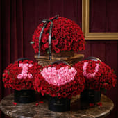 Ishq Ka Taj – 410 Roses