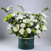 Ivory Blossoms Amid Verdant Trails