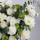 Ivory Blossoms Amid Verdant Trails