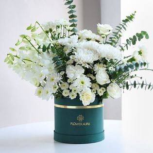 Ivory Haze Of Velvet Petals