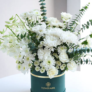 Ivory Haze Of Velvet Petals