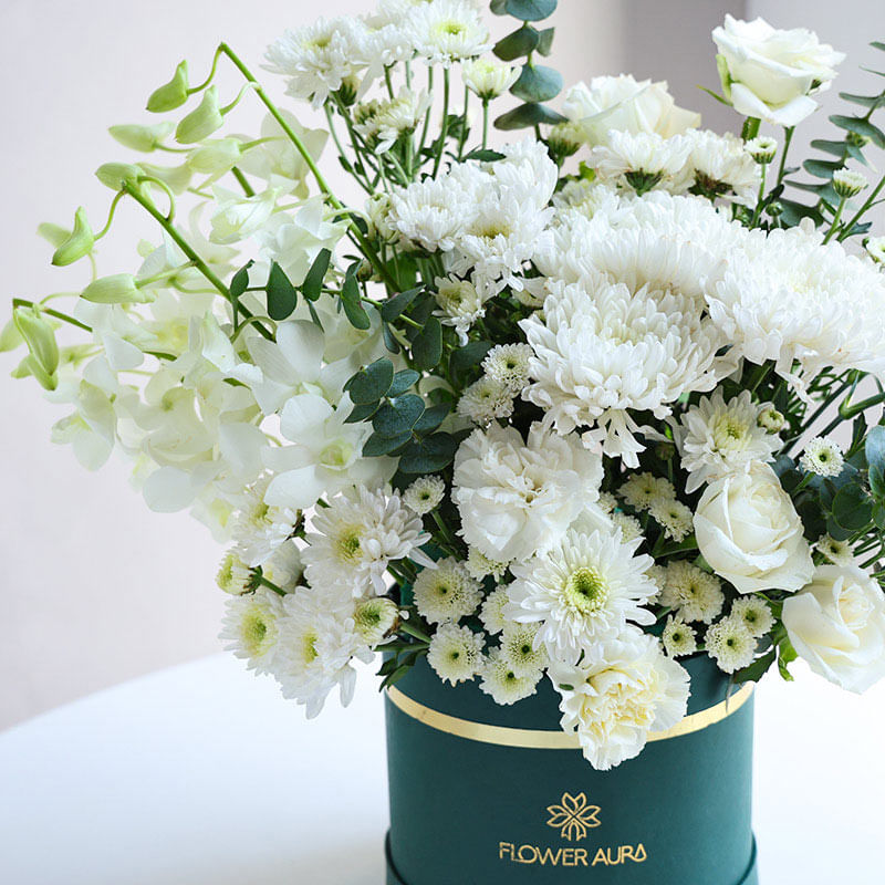 Ivory Haze Of Velvet Petals