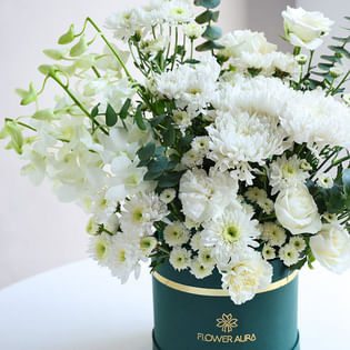 Ivory Haze Of Velvet Petals