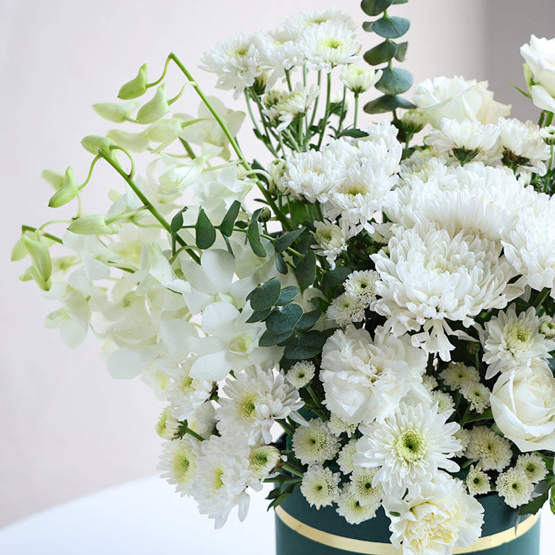 Ivory Haze Of Velvet Petals