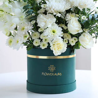 Ivory Haze Of Velvet Petals