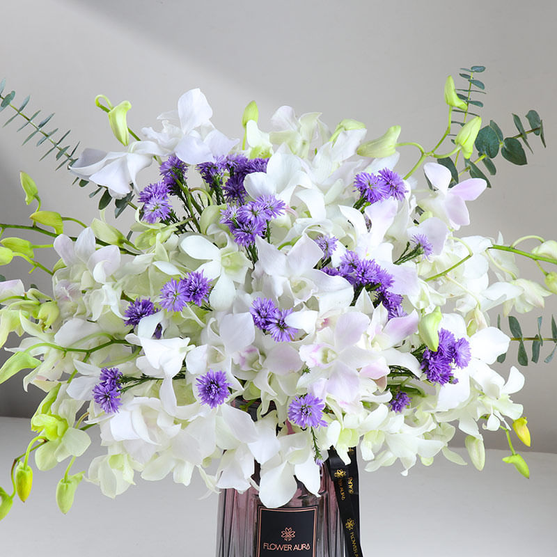 Ivory Letters With Violet Echoes