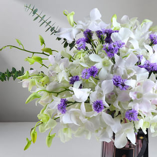 Ivory Letters With Violet Echoes