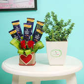 Jade Choco Plant Combo - Foliage Plant Indoors in Floweraura Chatura Vase and 5 Dairy Milk Chocolates with 2 Red Roses