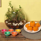 Jade Diyas Combo - Succulent and Cactus Plant Outdoors in Gola Vase with Set of 5 Diyas and Half Kg Motichoor Ladoo