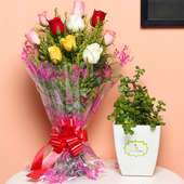 Jade Fever - Succulent and Cactus Plant Outdoors in Floweraura Chatura Vase with Bunch of 10 Mixed Roses