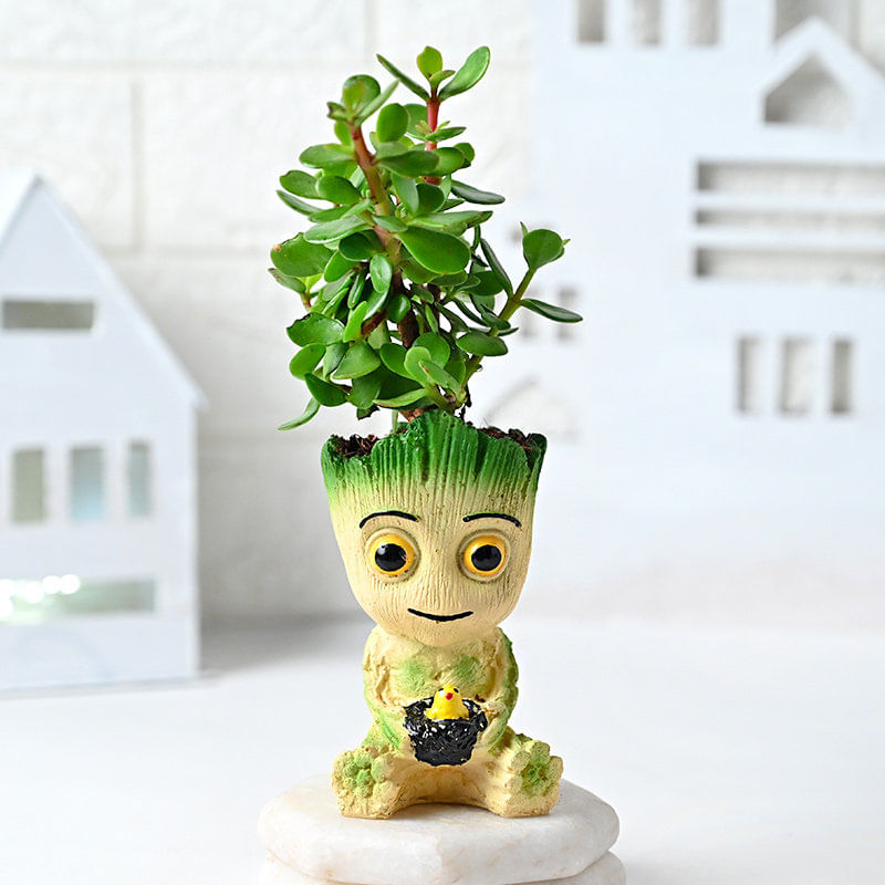 Jade Groot Plant Online 