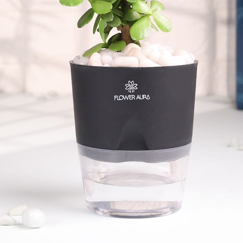Product Image Video