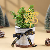 Jade In Jute Pot For New Year