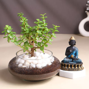 Jade In Potpourri Glass Vase With Buddha Idol