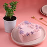 Jade Iplant N Choco Heart Cake