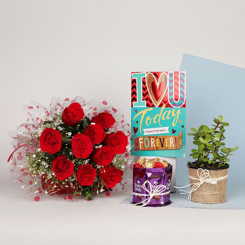 Jade Lovers Plant Gift