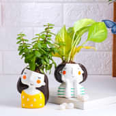 Jade N Money Plant In Mini Elephant Pots