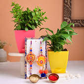 Send Jade N Peace Lily Plant With Couple Rakhi