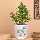 Jade Plant in Personalised Vase for Dad