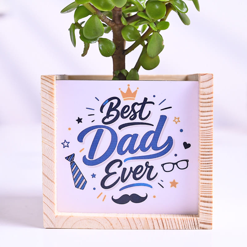 Jade Plant In Best Dad Pot