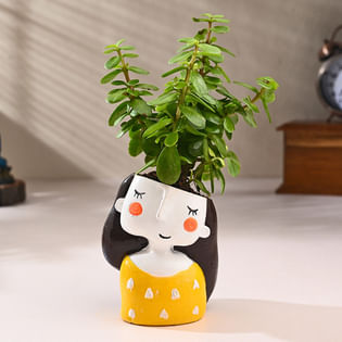Jade Plant In Cheerful Girl Pot