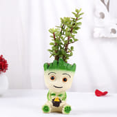 Jade Plant In Groot Pot