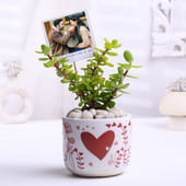 Jade Plant In Heart Terracotta Pot With Photo