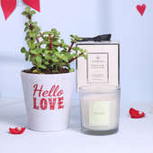 Jade Plant In Hello Love Pot N Candle Valentine Combo