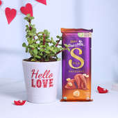 Jade Plant In Hello Love Pot N Chocolate