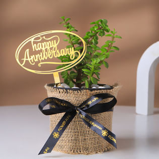 Jade Plant In Jute Pot For Anniversary