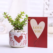 Jade Plant In Terracotta Pot With Love You Card