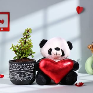 Jade Plant In Tribal Motif Pot N Teddy