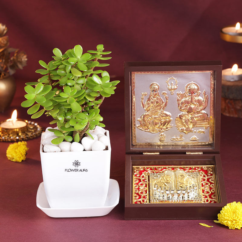 Jade Plant N Charan Paduka Combo